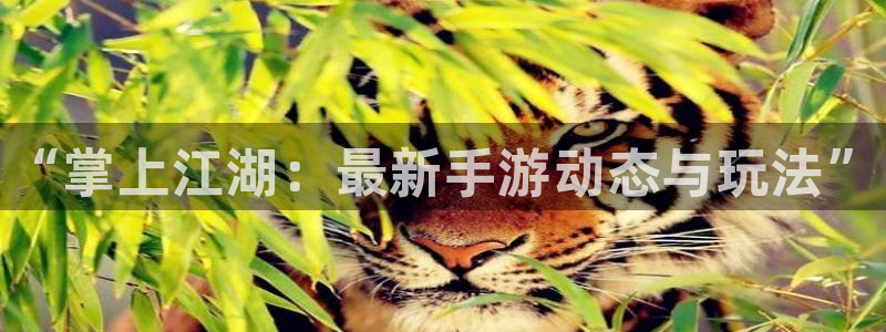 奇亿娱乐4招商：“掌上江湖：最新手游动态与玩法”