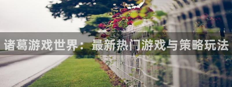 奇亿娱乐登陆测速：诸葛游戏世界：最新热门游戏与策略玩法