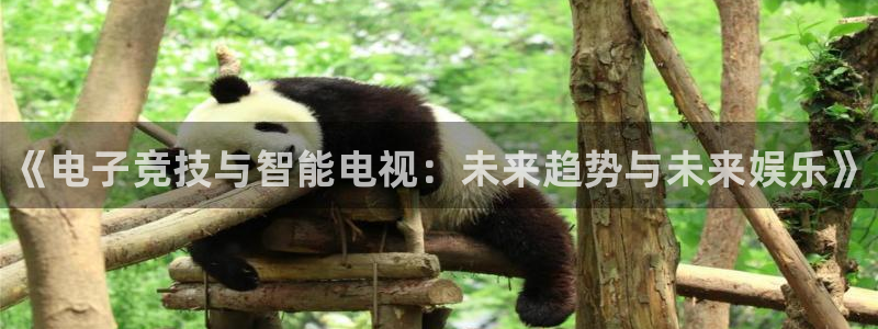 奇亿娱乐咨询：《电子竞技与智能电视：未来趋势与未来娱乐》