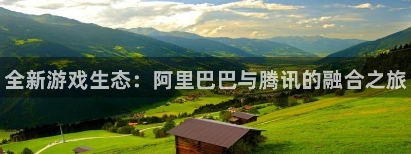 奇亿娱乐的意思：全新游戏生态：阿里巴巴与腾讯的融合之旅