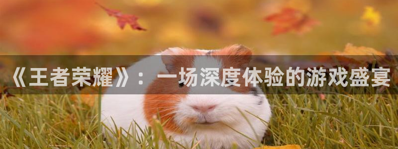奇亿娱乐网址注册：《王者荣耀》：一场深度体验的游戏盛宴