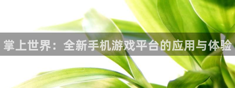 奇亿娱乐注册登录平台：掌上世界：全新手机游戏平台的应用与体验