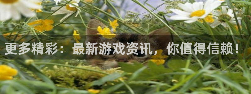 奇亿娱乐登录网址：更多精彩：最新游戏资讯，你值得信赖！