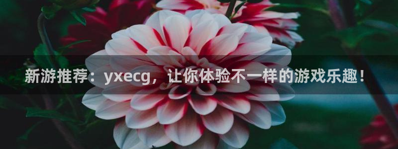 奇亿娱乐允j*18888