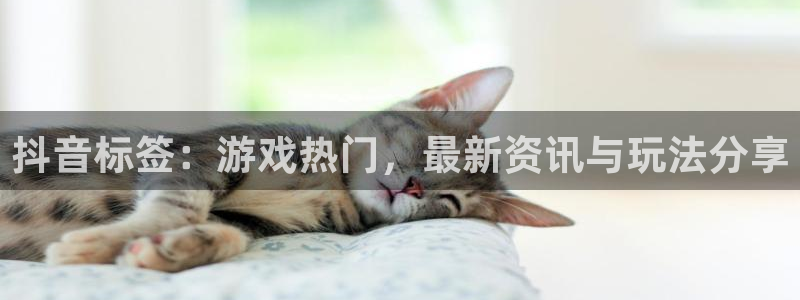 奇亿娱乐招商：抖音标签：游戏热门，最新资讯与玩法分享