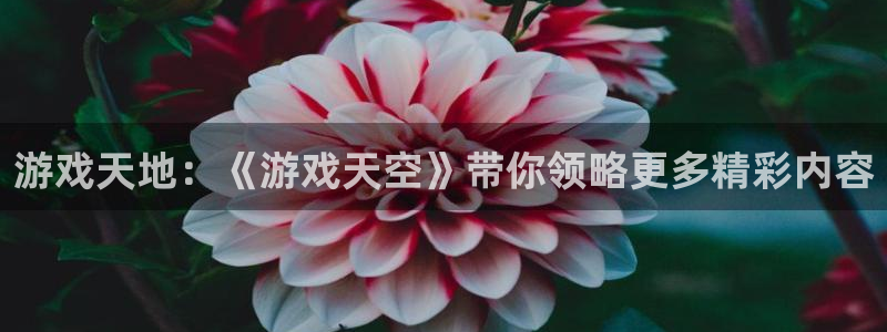 奇亿娱乐注册fзззoo判官：游戏天地：《游戏天空》带你领略