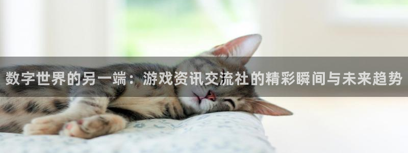 奇亿娱乐登陆那判官333ooo：数字世界的另一端：游戏资讯交