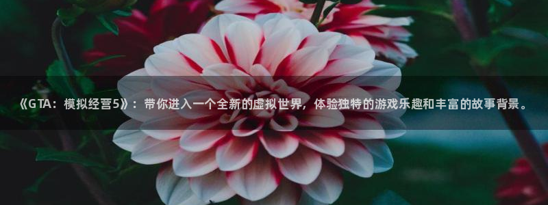 手机奇亿娱乐下载安装