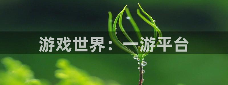 手机版奇亿娱乐客户端下载：游戏世界：一游平台