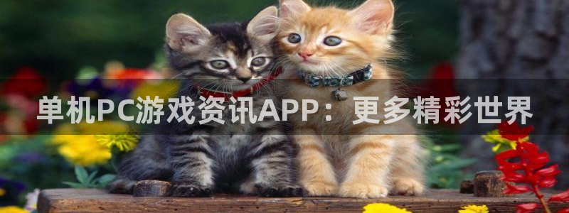 奇亿娱乐注册：单机PC游戏资讯APP：更多精彩世界