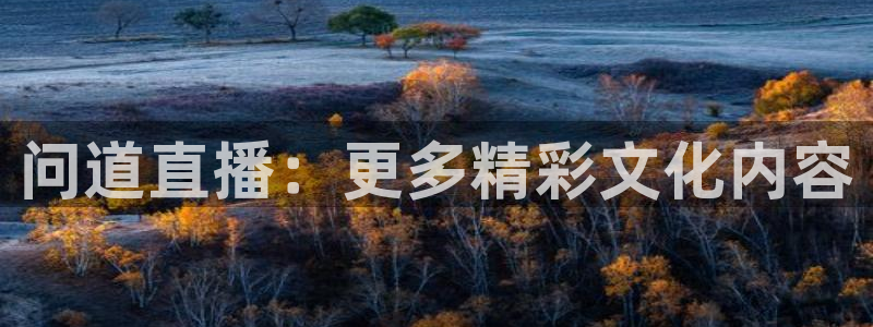 玩球体育：问道直播：更多精彩文化内容