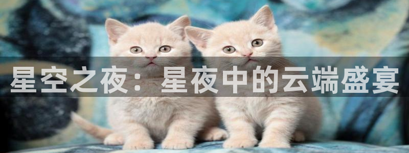 玩球直播吧：星空之夜：星夜中的云端盛宴