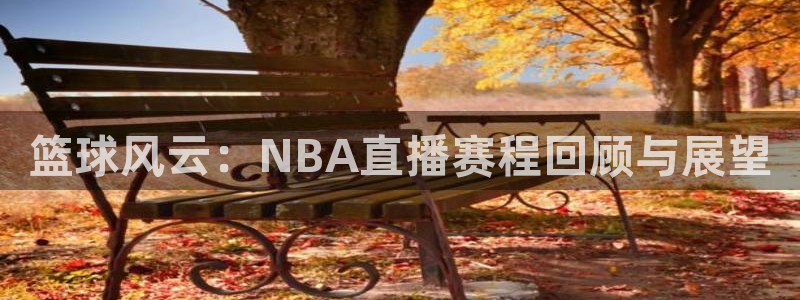 玩球直播ios版：篮球风云：NBA直播赛程回顾与展望
