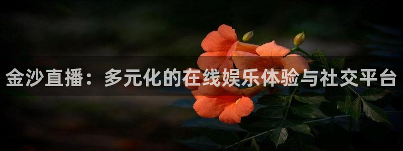 玩球直播在线：金沙直播：多元化的在线娱乐体验与社交平台